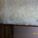 67 Left door - Image 2