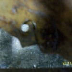 61-62 Radiator Shroud panels - Image 4