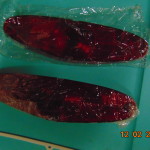 65-71 Sweptline NEW REPOP Taillight Lenses with gaskets and screws. - Image 2