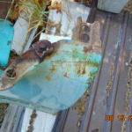 61-69 D300  right fender - Image 3