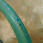 69-71   D100-D300   Steering wheel TEAL - Image 4