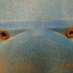 68-71 Crew Cab right rear door panel - Image 3