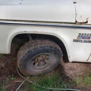 61-69  Left 100/200 Fender